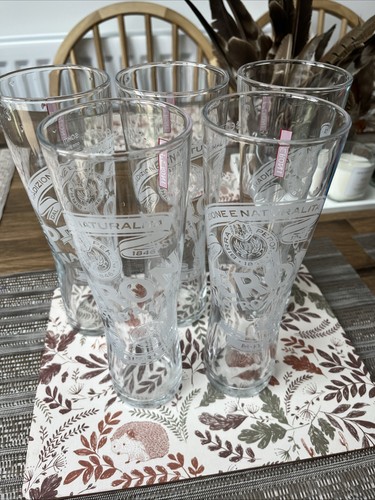 Peroni pint glass job lot - peroni,
