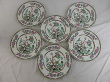 John Maddock Indian Tree