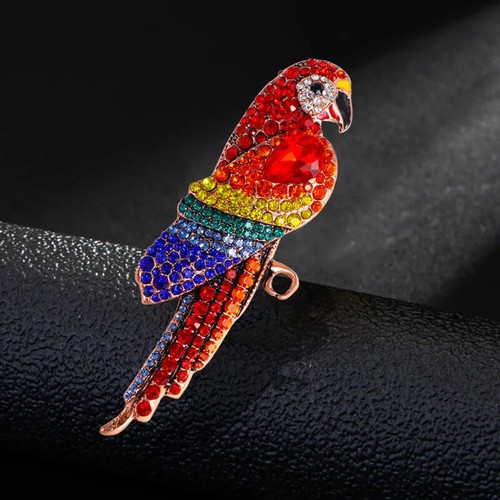 Women men parrot bird - parrot, crystal