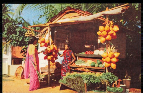 Way side fruit - way,