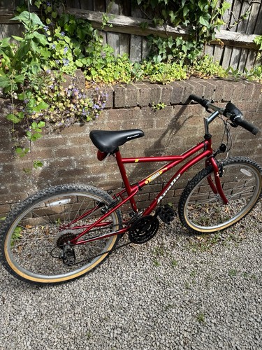 Apollo mountain bike - mountain,