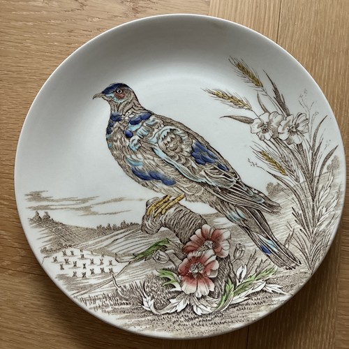 British anchor wild birds - british,