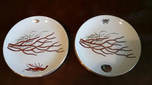 Britannia designs plates - designs,