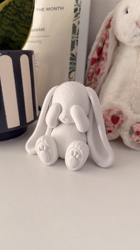 Peekaboo bunny ornament cute - bunny,