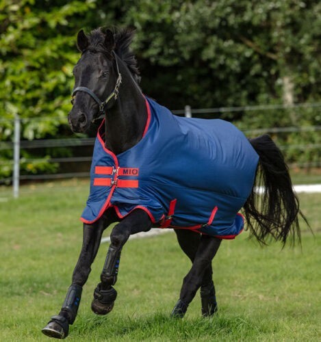 Horseware amigo mio lite - amigo,