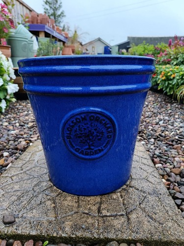 Ceramic blue cone blossom - ceramic,