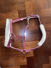 Miniature Shetland Sheep Skin