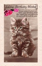 FAMILY HISTORY  POSTCARD -