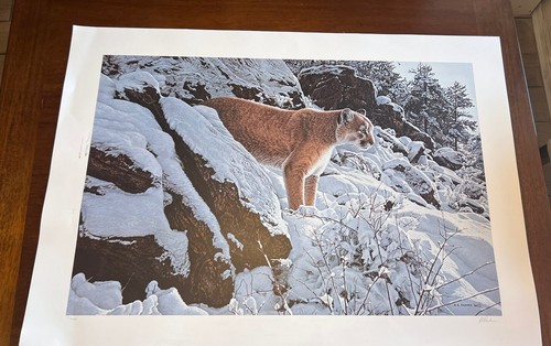 Ron parker winter - ron,