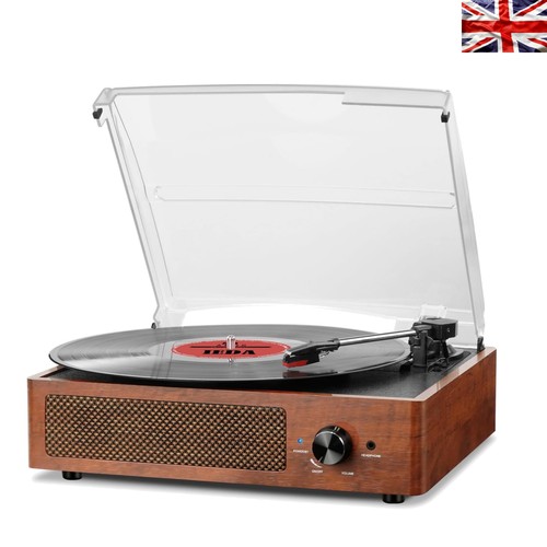 Elegant wooden vinyl record - elegant,