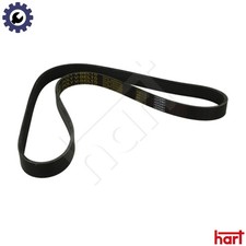 VRIBBED BELT 334 315 FOR SKODA