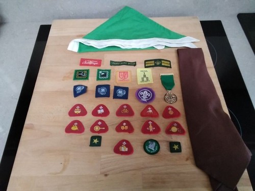 Cub scout badges - scout,