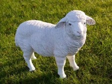 White Life-Like Standing Sheep