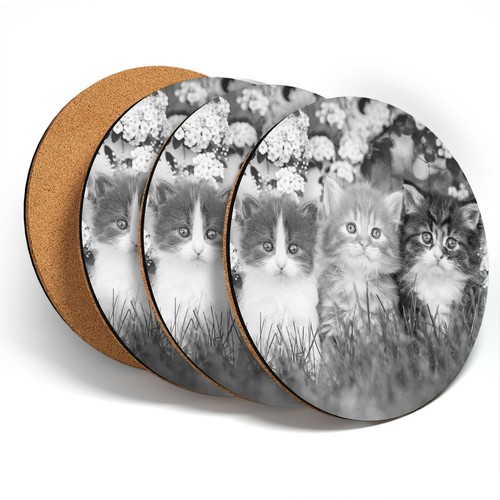 Coasters bw gorgeous - coasters,