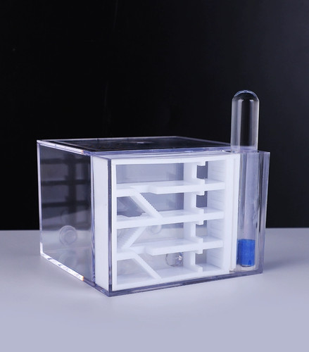 Acrylic ant breeding - ant, box