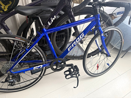 Frog 24in blue kids road - frog,