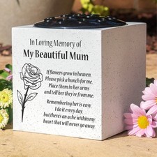 Beautiful mum rose - mum, flowers