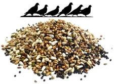 Bucktons pigeon conditioner - bucktons,