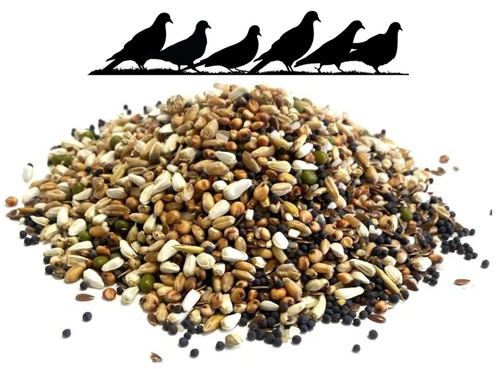Bucktons pigeon conditioner - bucktons,