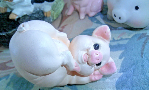Lot little pig - lot,