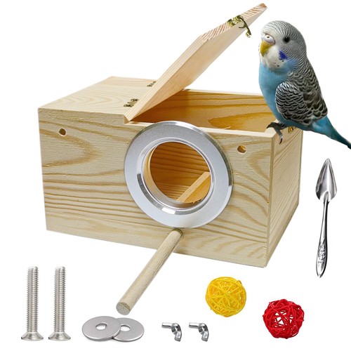 Bird nest parakeet - bird, box