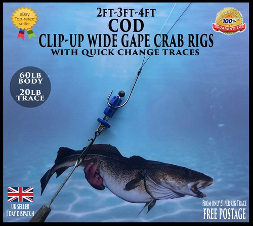 Sea rigs cod - sea, up