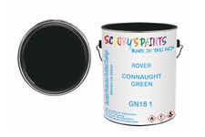 Classic Paint For Wolseley