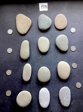 9. XXXL Xtra Xtra Xtra Large Best Quality Painting Rocks Beach Pebbles Art Craft