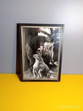 VINTAGE SHEEP SHEARING FARMING