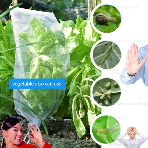 100x fruit protection bags - 100x,