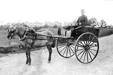juu-43 Horse Drawn Cart and