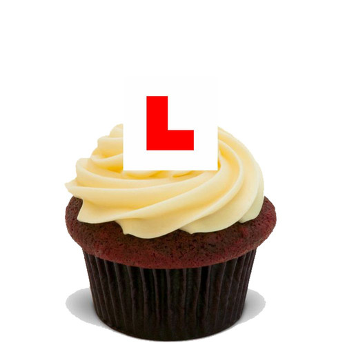 Learner plate 20x - learner, flat