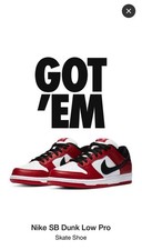Nike dunk low pro sb - low,