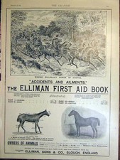 Original Old Antique Print