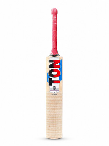 Ton maximus kashmir - kashmir, willow