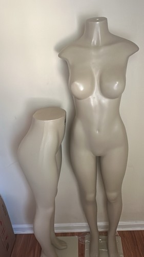 Female adult headless - adult,