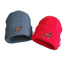 Springer Spaniel dog