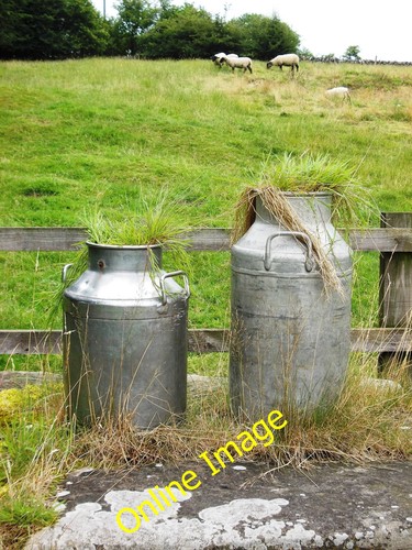 Photo 6x4 hairy - milk, churns