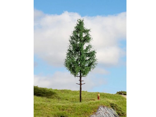 Noch high trunk spruce master - noch,