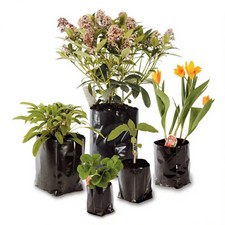 Poly plant pots grow bag - plant,