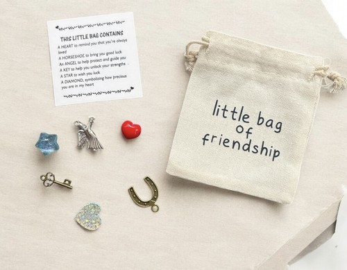 Little bag friendship gift - bag,