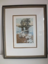 *Original*GRAHAM EVERNDEN*Signed*Framed*Etching* LTD EDITION*45/200*COW PARSLEY*