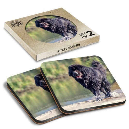 Boxed square coasters - x,