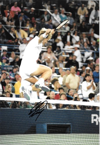 Stefan edberg celebrates - stefan,