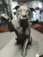 Staffordshire Bull Terrier