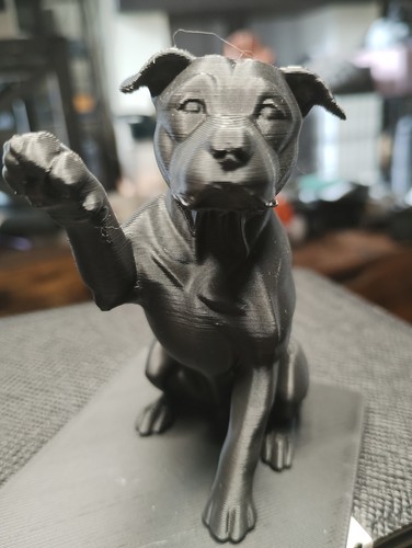 Staffordshire bull terrier - staffordshire,