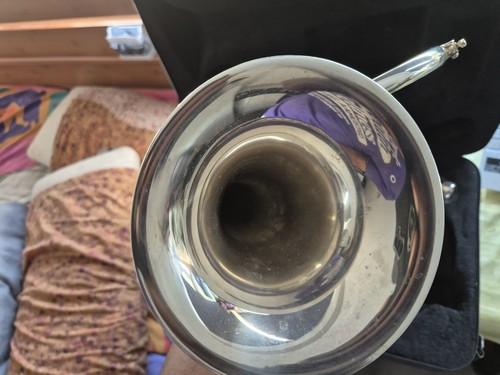 Flugel horn geneva - horn,