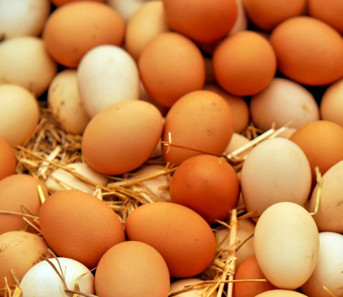 Free range eggs from - 6,