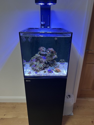 Red sea reefer - sea, 105ltr