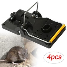 Professional mouse traps - mouse,